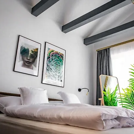 Tisza Apartmanhaz * Rakamaz