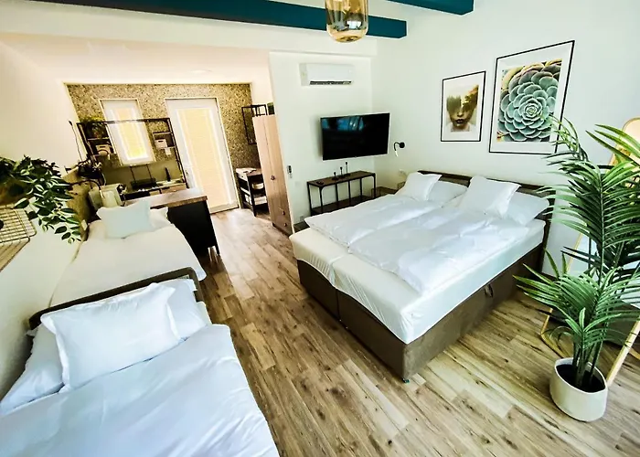 Tisza Apartmanhaz * Tokaj